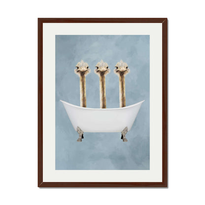 OSTRICHES IN BATHTUB | PRINT