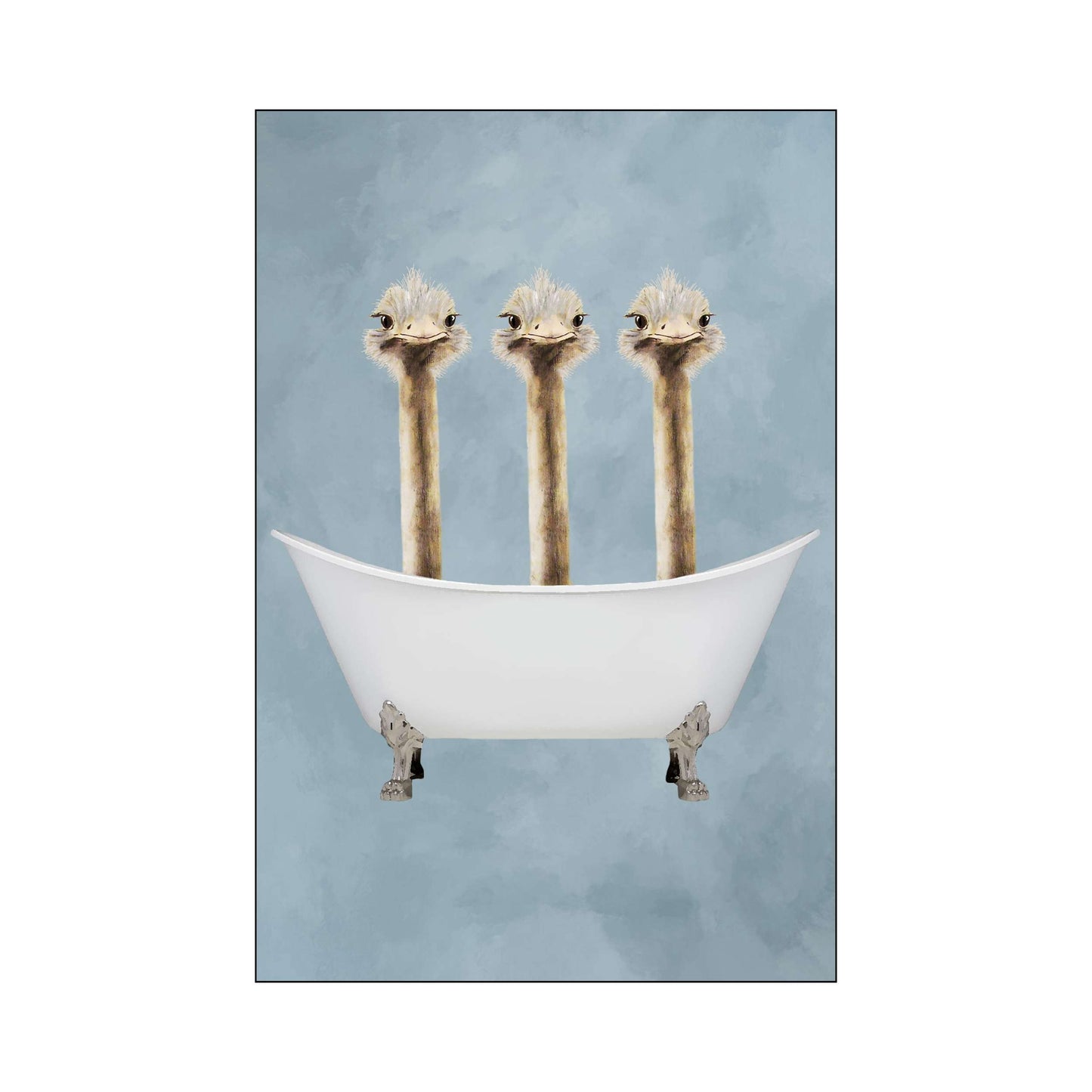 OSTRICHES IN BATHTUB | PRINT