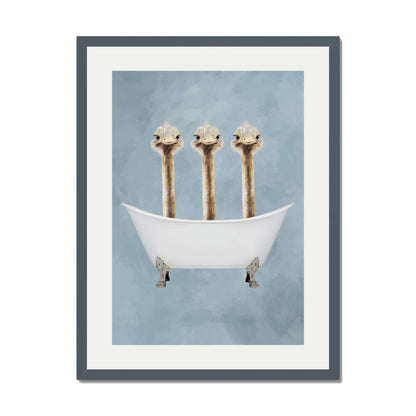 OSTRICHES IN BATHTUB | PRINT