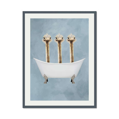 OSTRICHES IN BATHTUB | PRINT