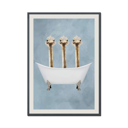 OSTRICHES IN BATHTUB | PRINT