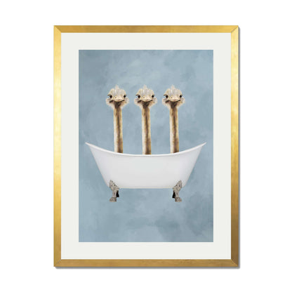 OSTRICHES IN BATHTUB | PRINT