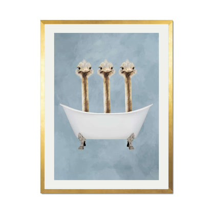 OSTRICHES IN BATHTUB | PRINT