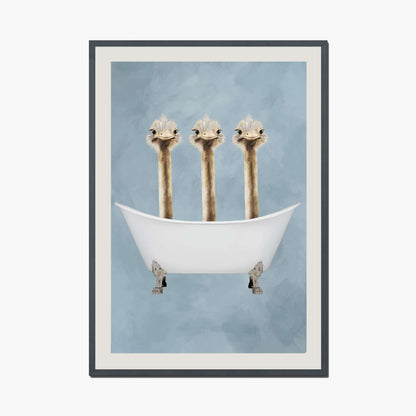 OSTRICHES IN BATHTUB | PRINT