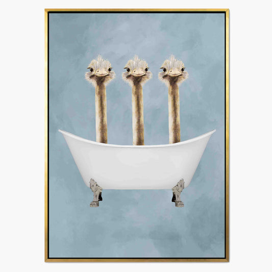 OSTRICHES IN BATHTUB | CANVAS