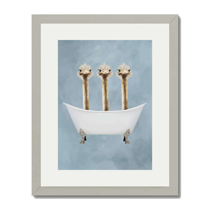 OSTRICHES IN BATHTUB | PRINT