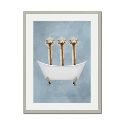 OSTRICHES IN BATHTUB | PRINT