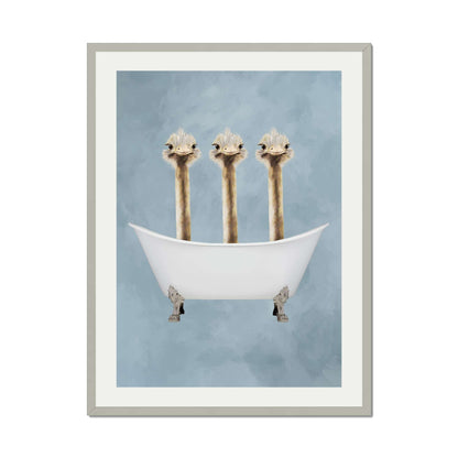 OSTRICHES IN BATHTUB | PRINT