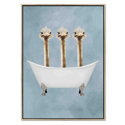 OSTRICHES IN BATHTUB | CANVAS