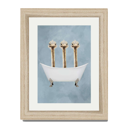 OSTRICHES IN BATHTUB | PRINT