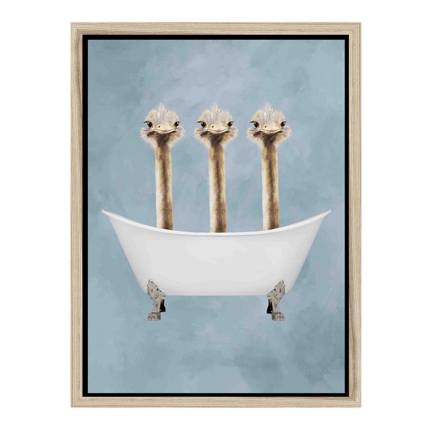 OSTRICHES IN BATHTUB | CANVAS
