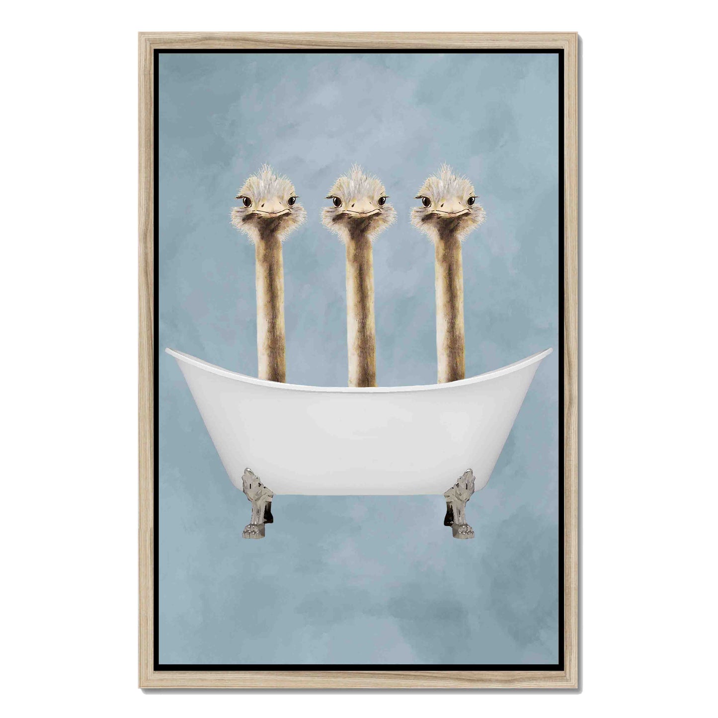 OSTRICHES IN BATHTUB | CANVAS