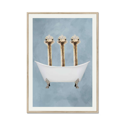 OSTRICHES IN BATHTUB | PRINT