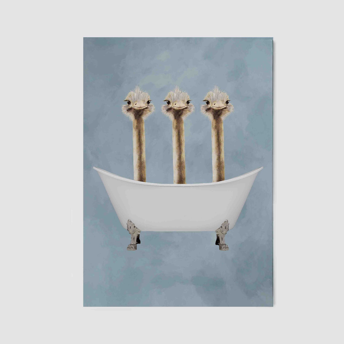 OSTRICHES IN BATHTUB | CANVAS