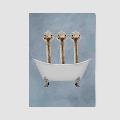 OSTRICHES IN BATHTUB | CANVAS