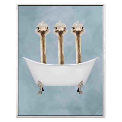 OSTRICHES IN BATHTUB | CANVAS