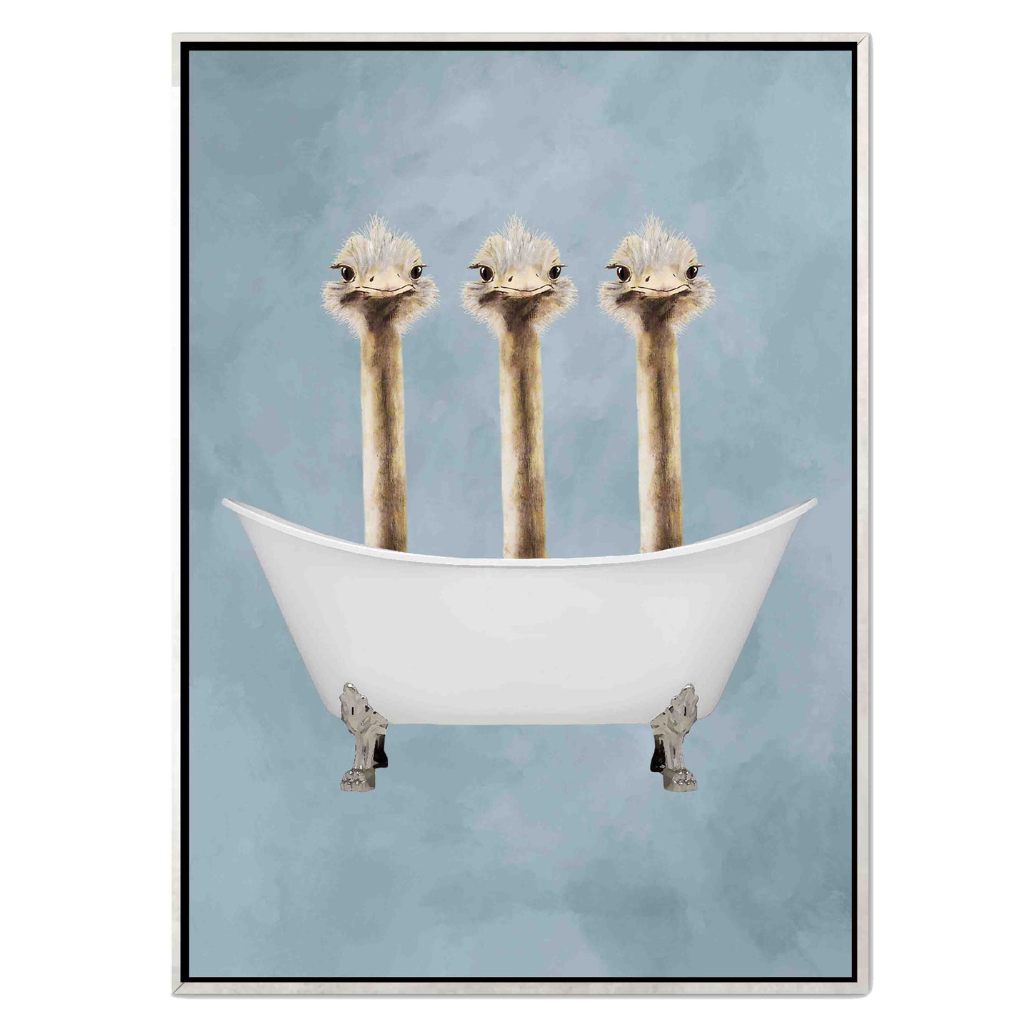 OSTRICHES IN BATHTUB | CANVAS