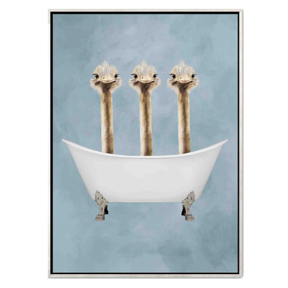 OSTRICHES IN BATHTUB | CANVAS