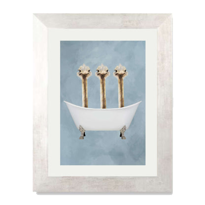 OSTRICHES IN BATHTUB | PRINT
