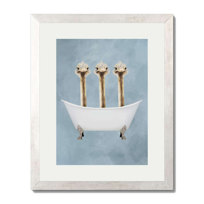 OSTRICHES IN BATHTUB | PRINT