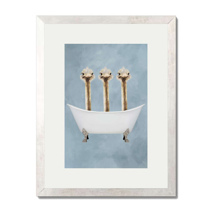 OSTRICHES IN BATHTUB | PRINT