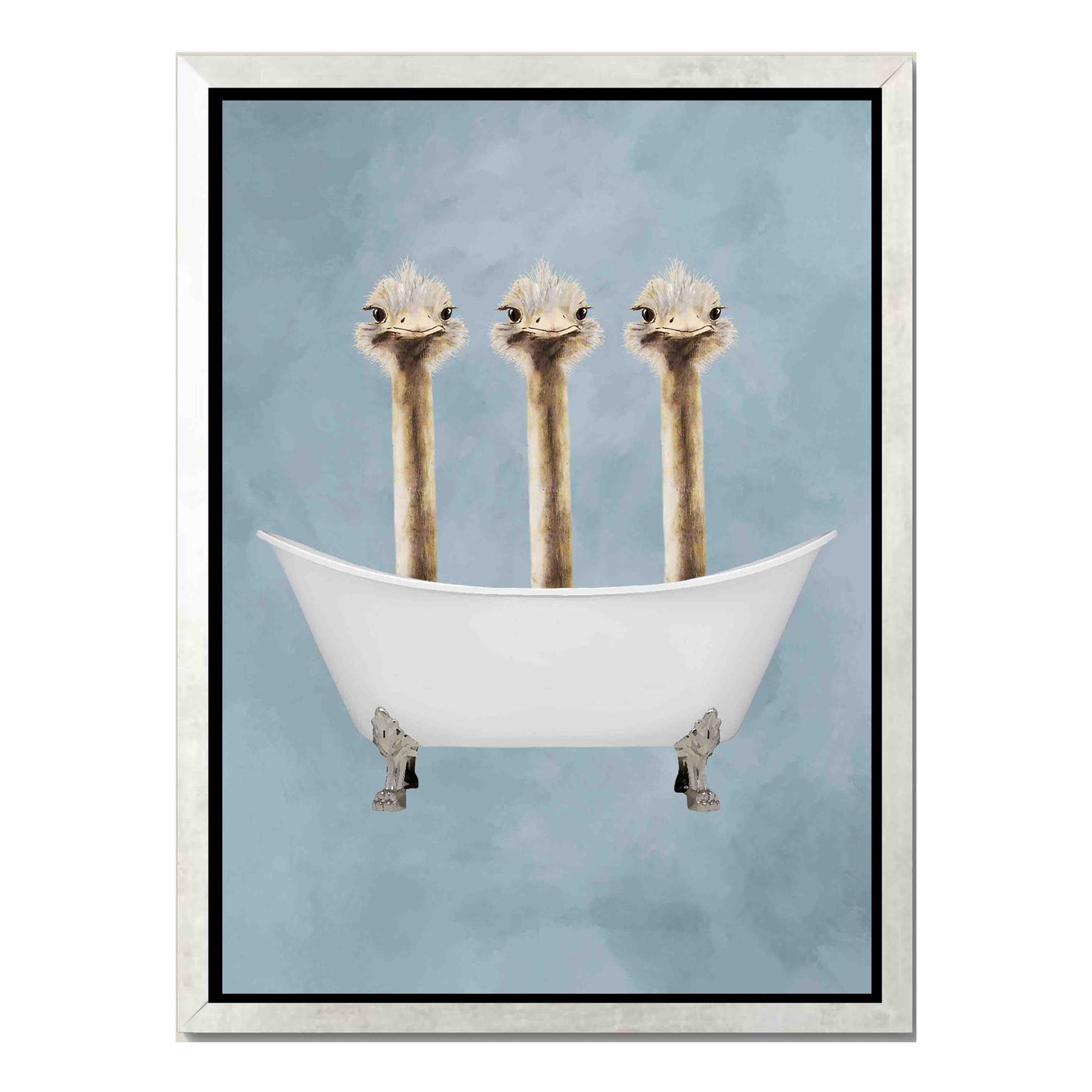 OSTRICHES IN BATHTUB | CANVAS