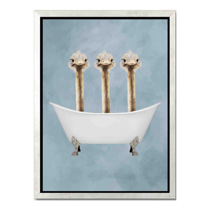 OSTRICHES IN BATHTUB | CANVAS