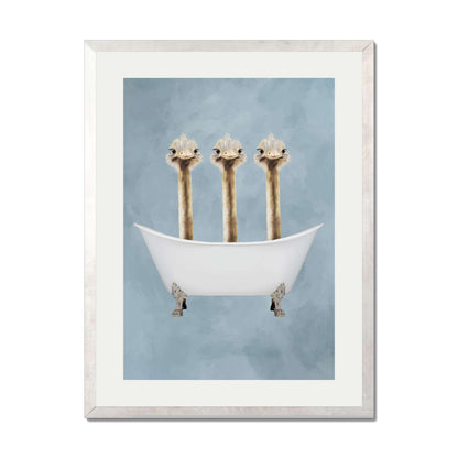 OSTRICHES IN BATHTUB | PRINT