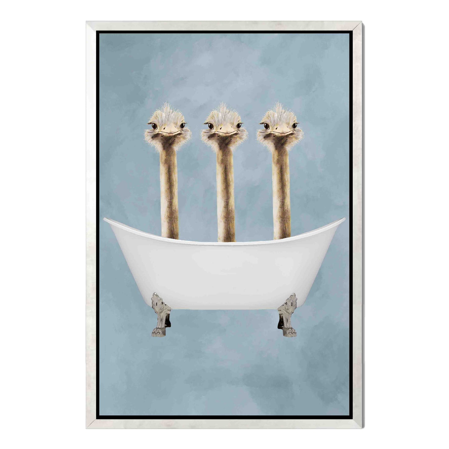 OSTRICHES IN BATHTUB | CANVAS