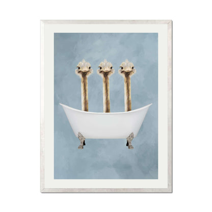 OSTRICHES IN BATHTUB | PRINT