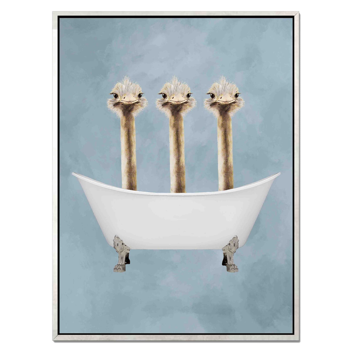 OSTRICHES IN BATHTUB | CANVAS