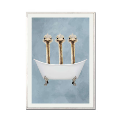 OSTRICHES IN BATHTUB | PRINT