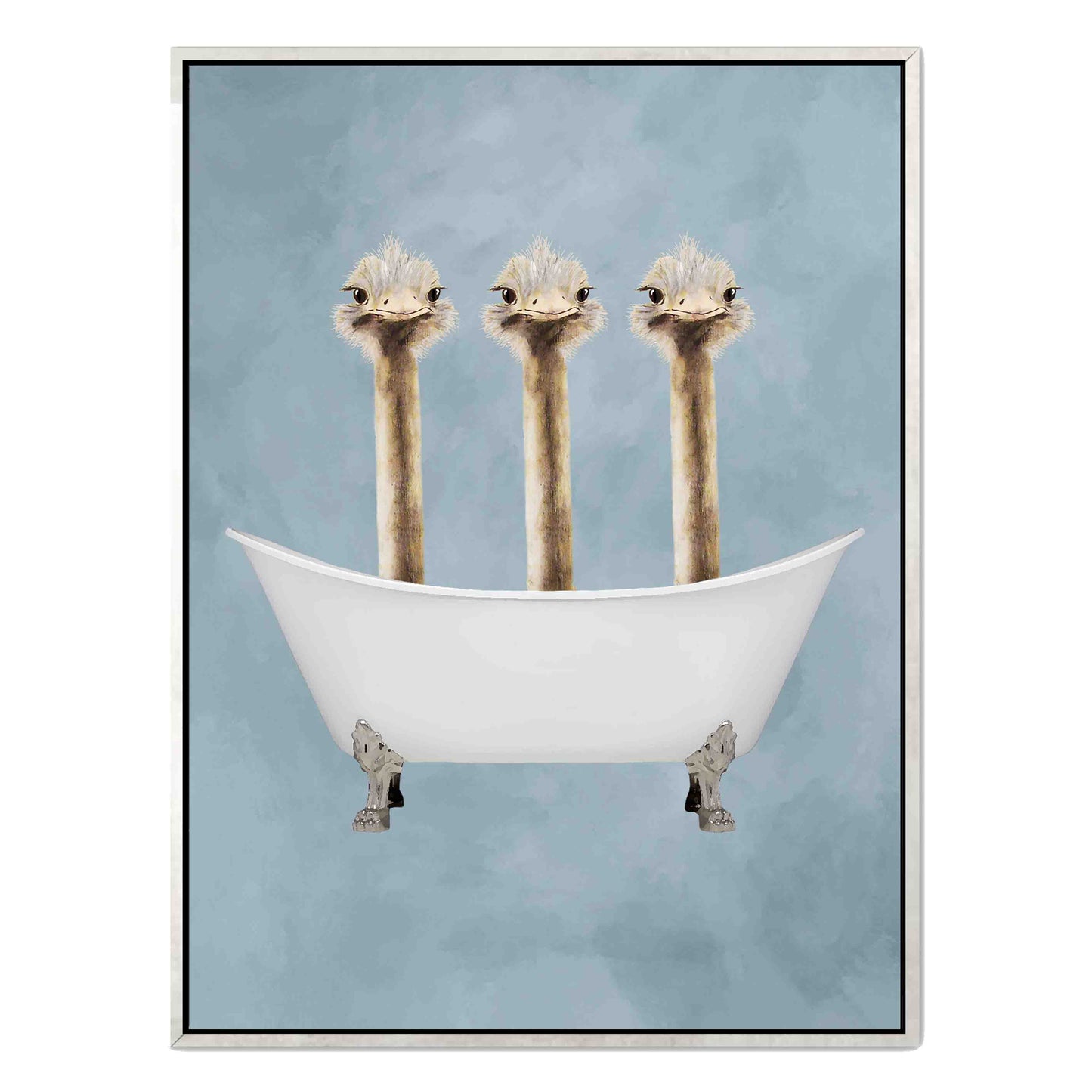 OSTRICHES IN BATHTUB | CANVAS