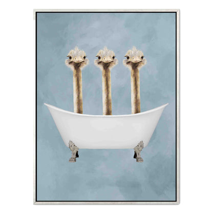 OSTRICHES IN BATHTUB | CANVAS