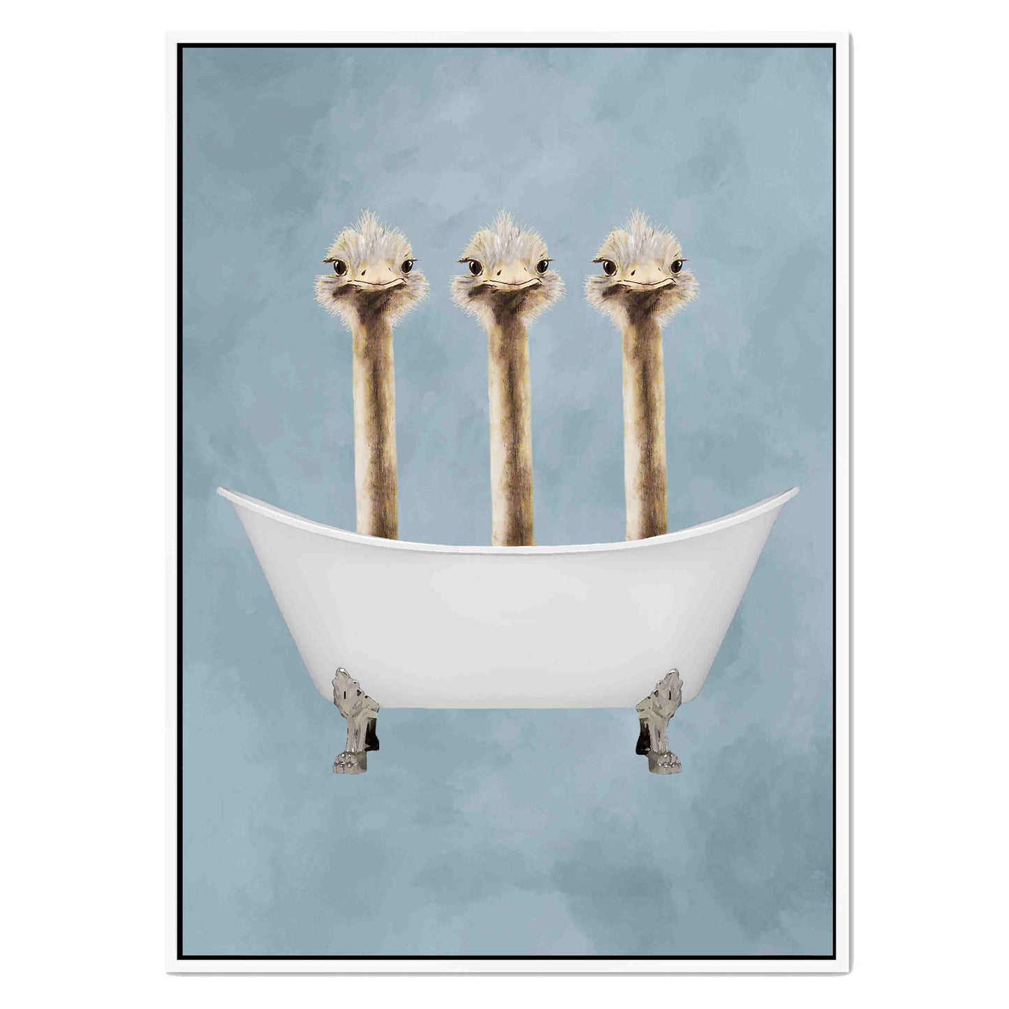 OSTRICHES IN BATHTUB | CANVAS