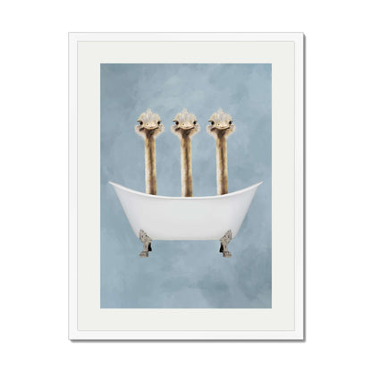 OSTRICHES IN BATHTUB | PRINT