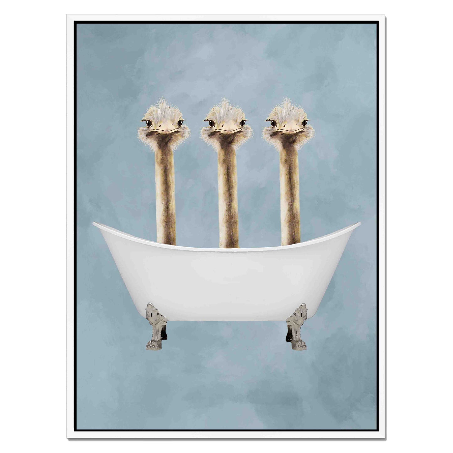 OSTRICHES IN BATHTUB | CANVAS
