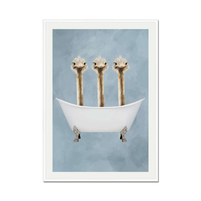 OSTRICHES IN BATHTUB | PRINT