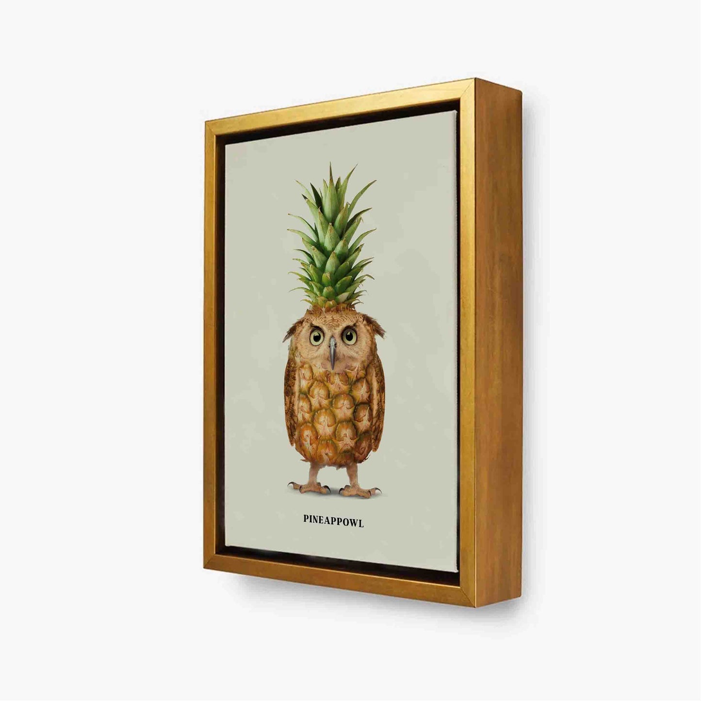PINEAPPOWL | CANVAS