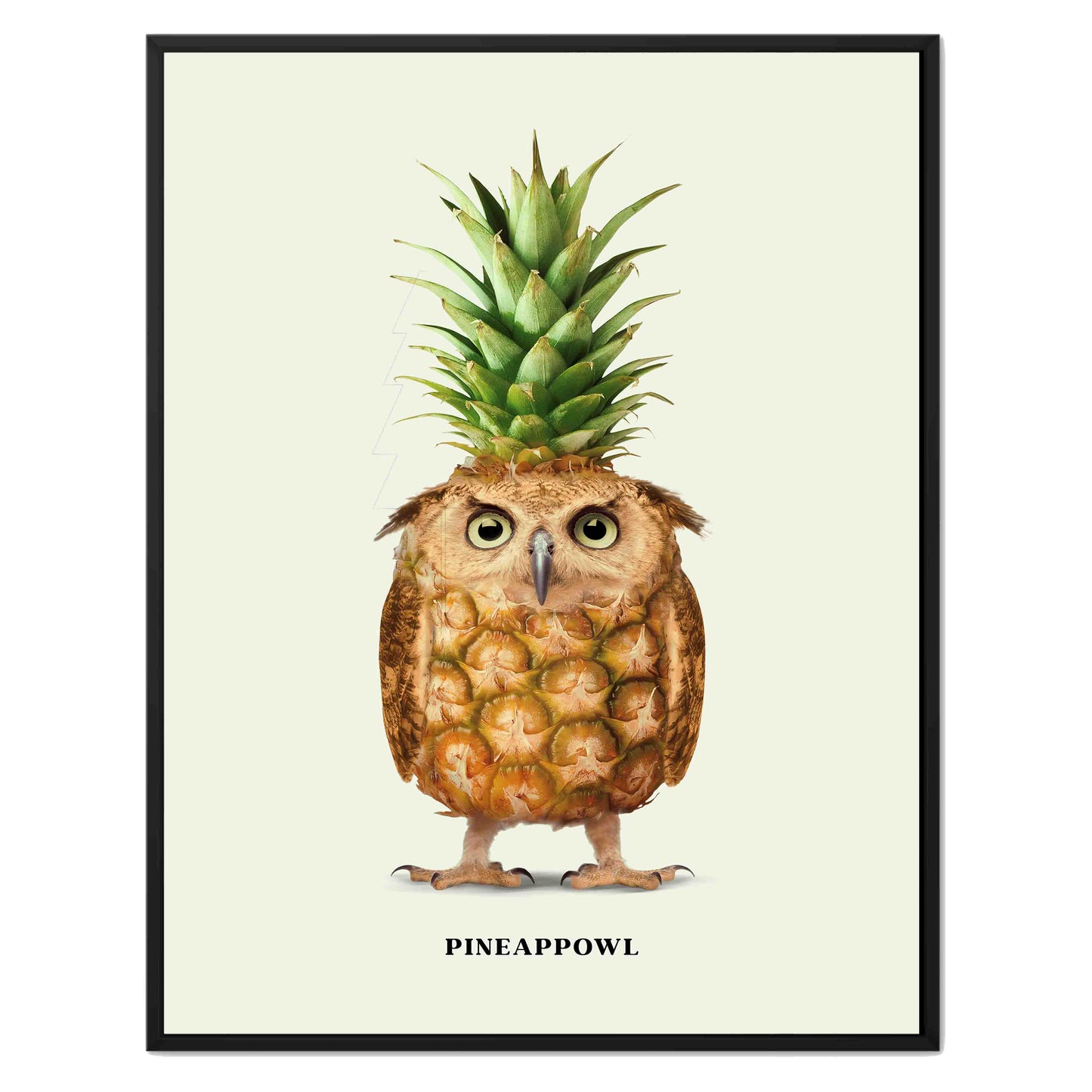 PINEAPPOWL | CANVAS