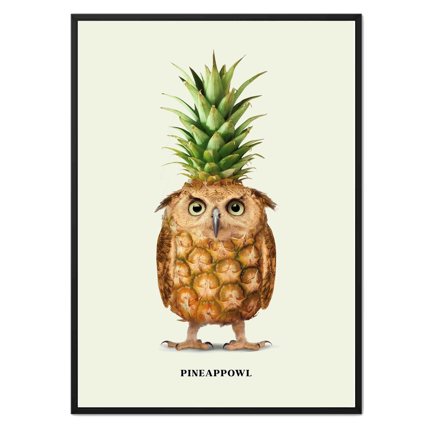 PINEAPPOWL | CANVAS