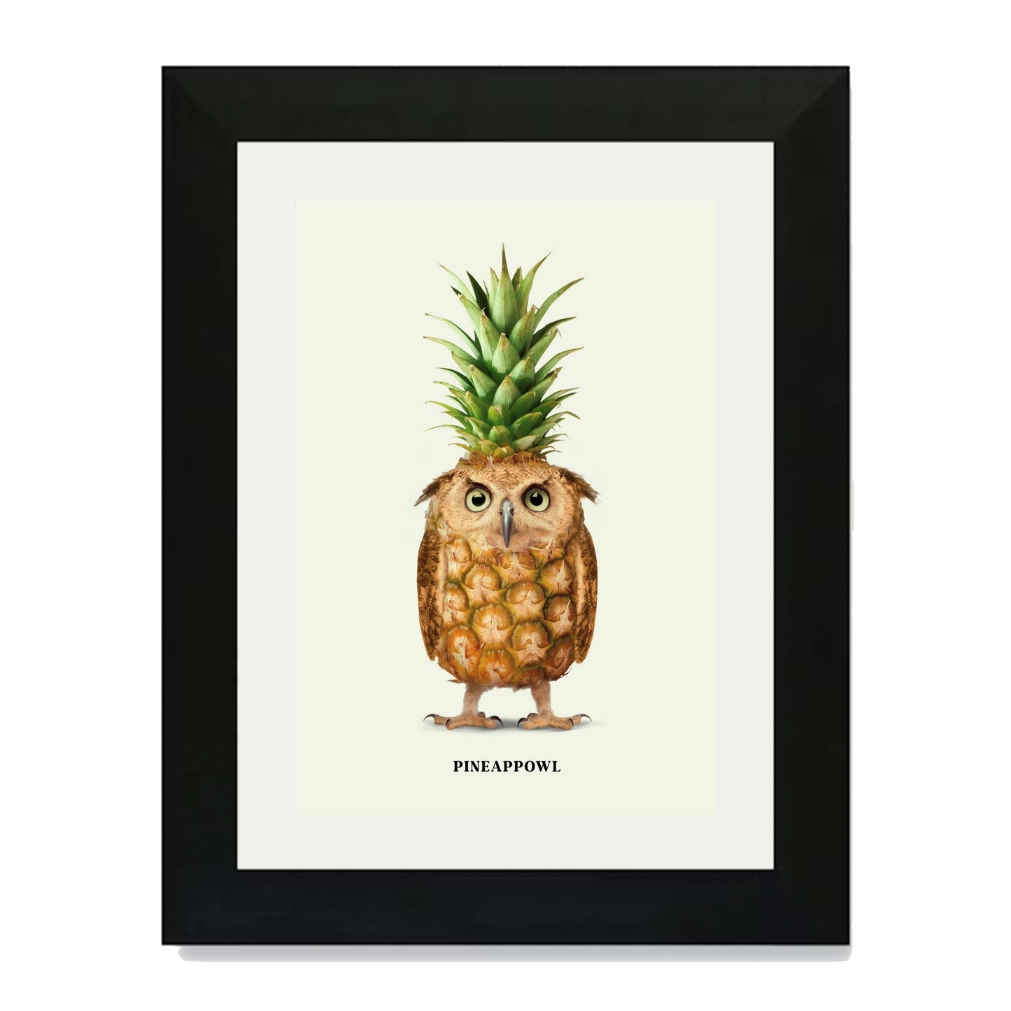 PINEAPPOWL | PRINT
