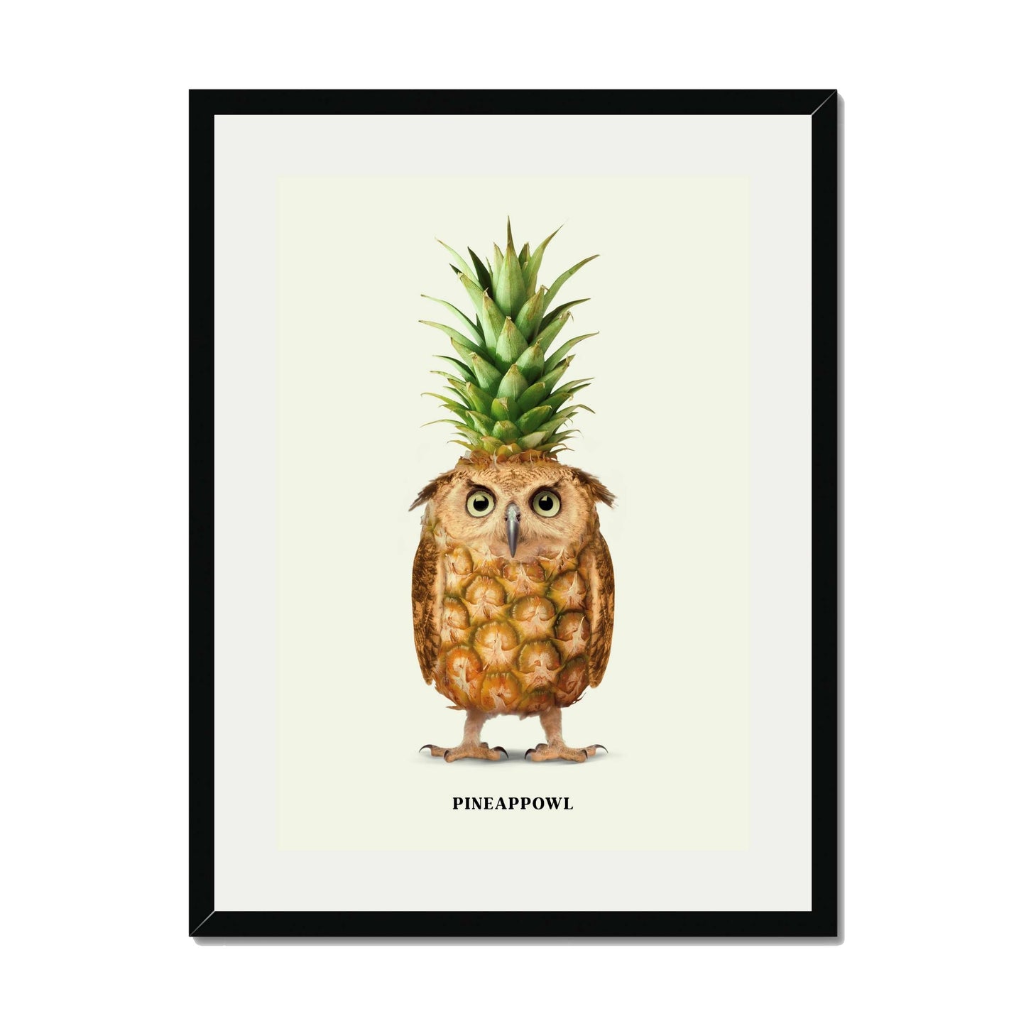 PINEAPPOWL | PRINT