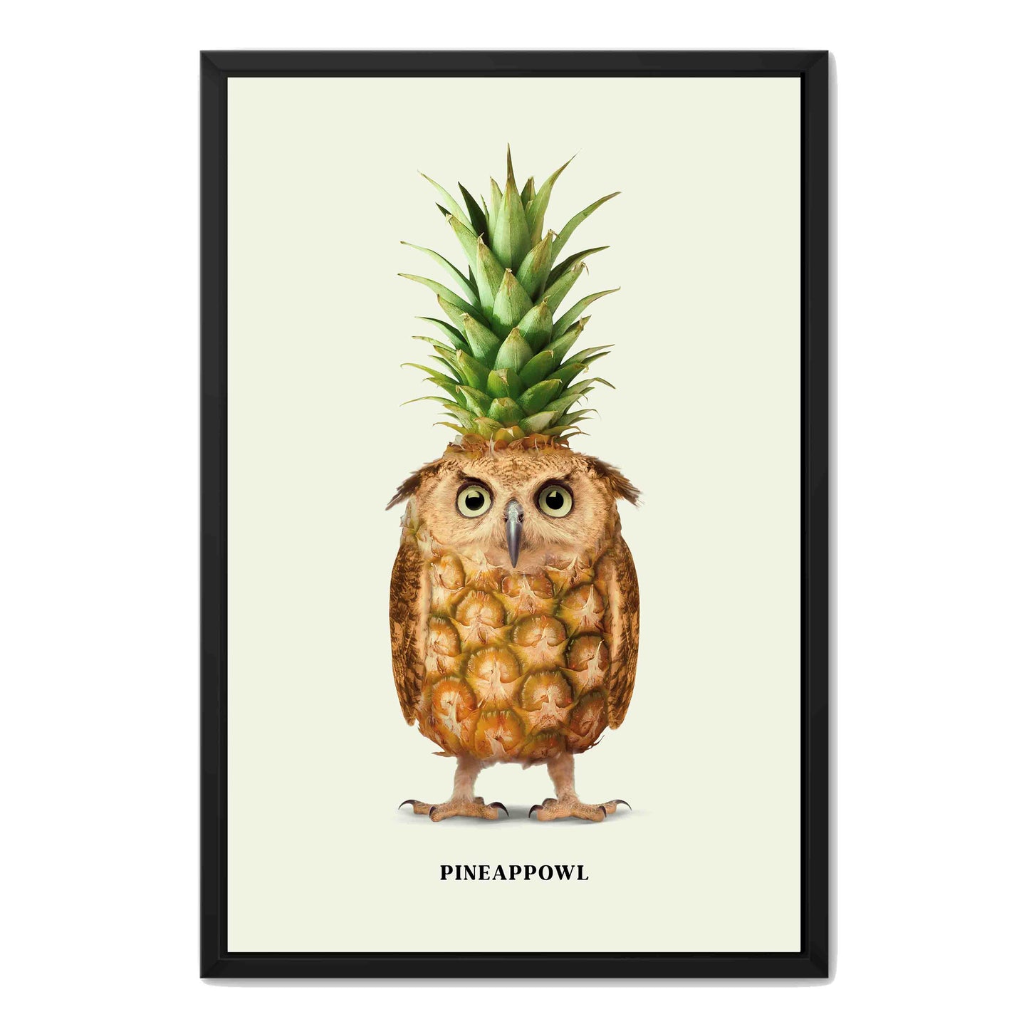 PINEAPPOWL | CANVAS