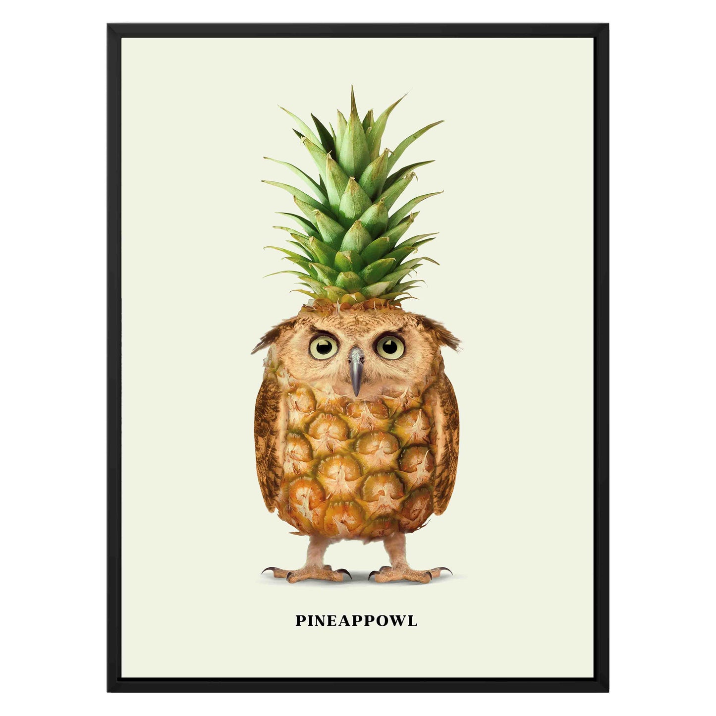 PINEAPPOWL | CANVAS