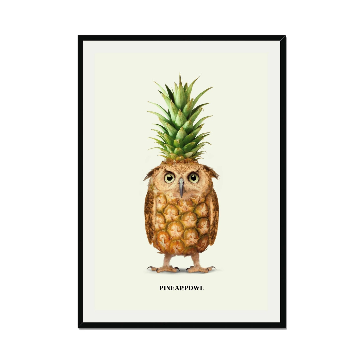 PINEAPPOWL | PRINT