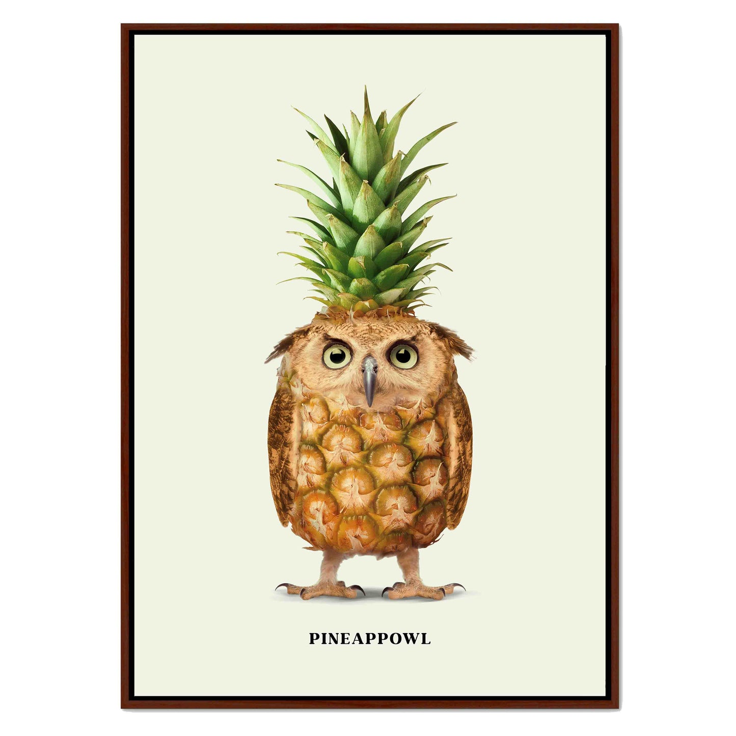 PINEAPPOWL | CANVAS