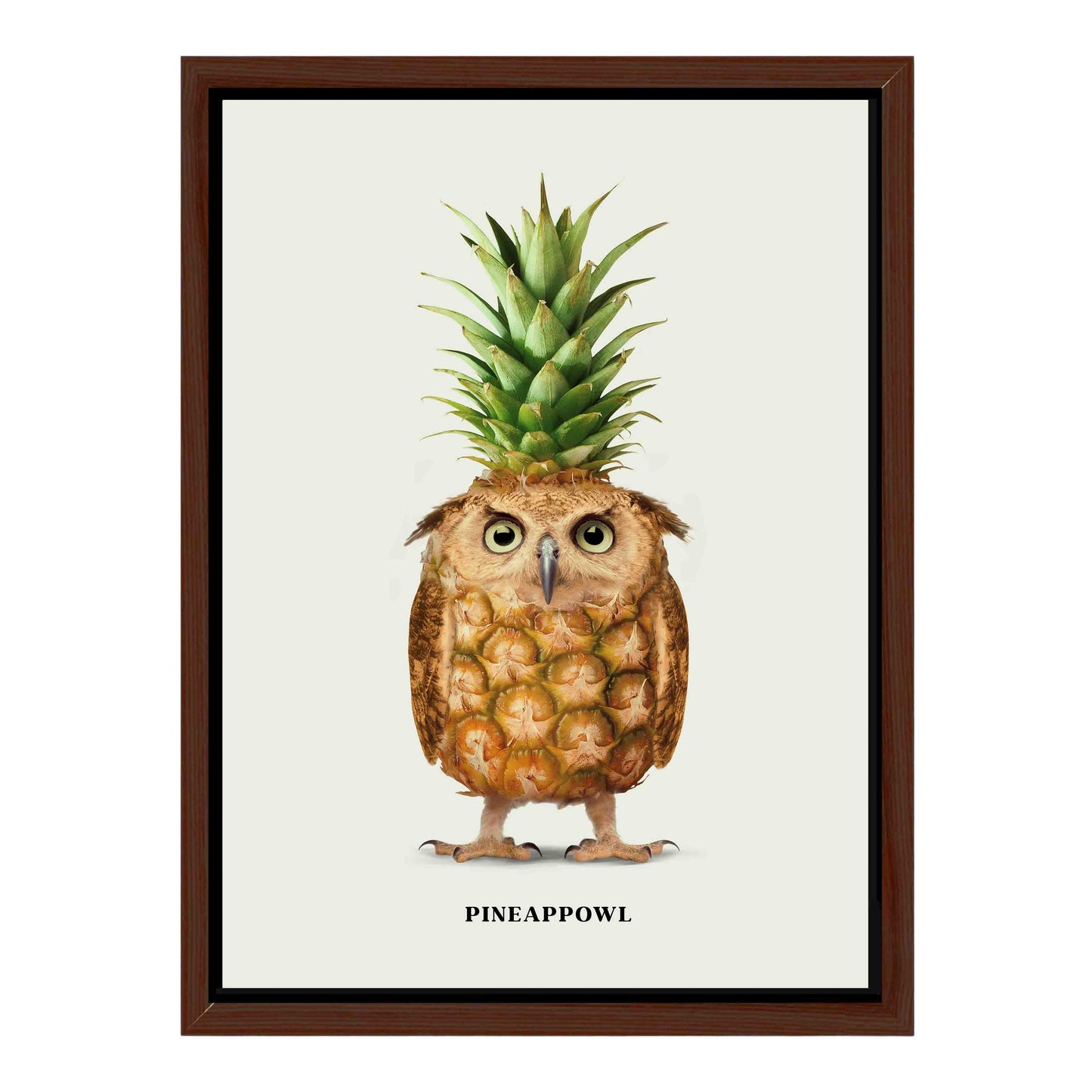 PINEAPPOWL | CANVAS