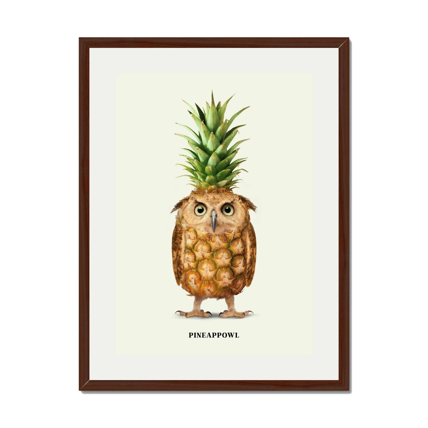 PINEAPPOWL | PRINT