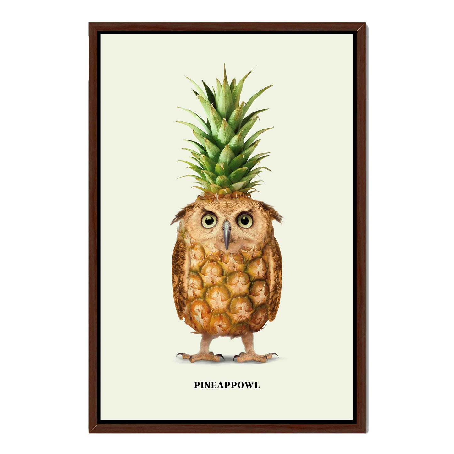 PINEAPPOWL | CANVAS